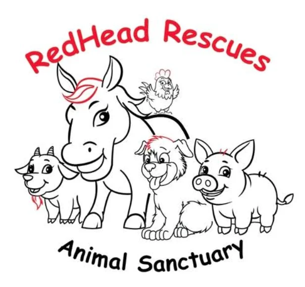 Redhead Rescues